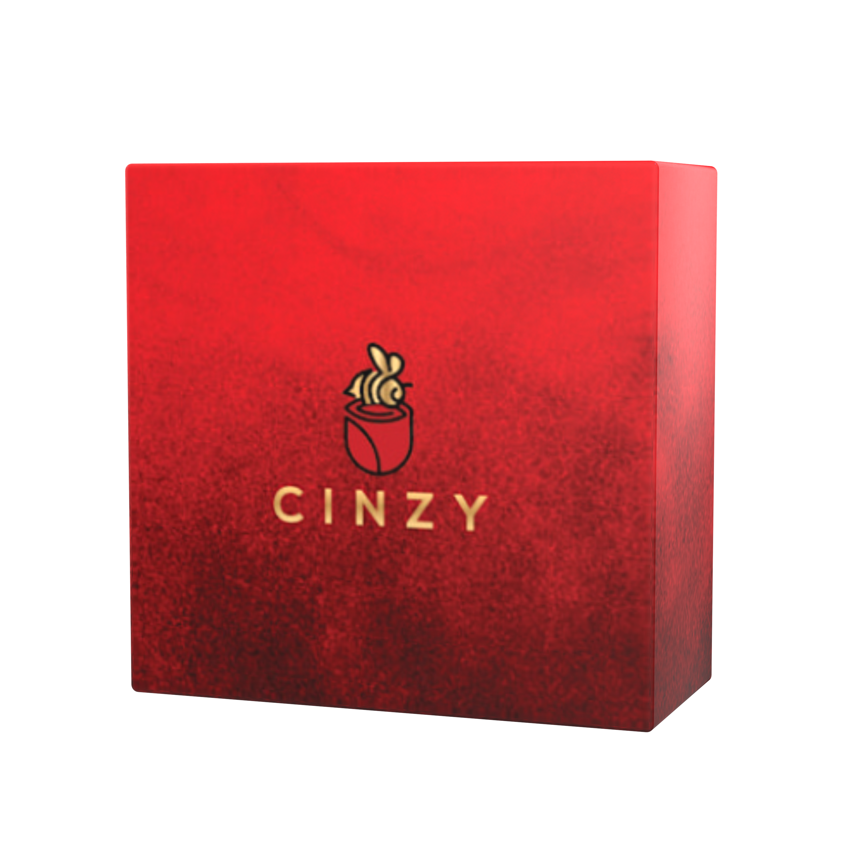 Cinzy Complete Bundle