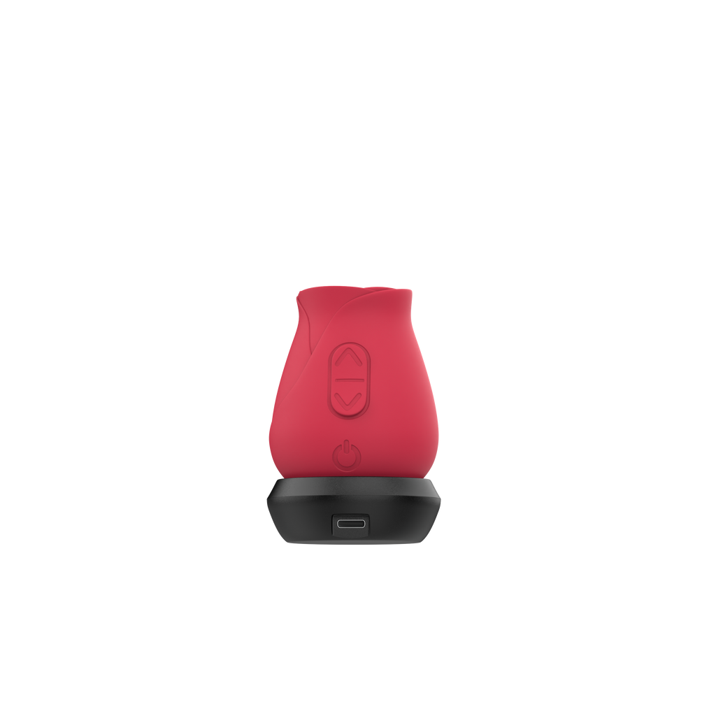 FCC Certified Replacement Charger Base & 3 Feet Long Charging Cable for Cinzy Cinzy Rose Toy