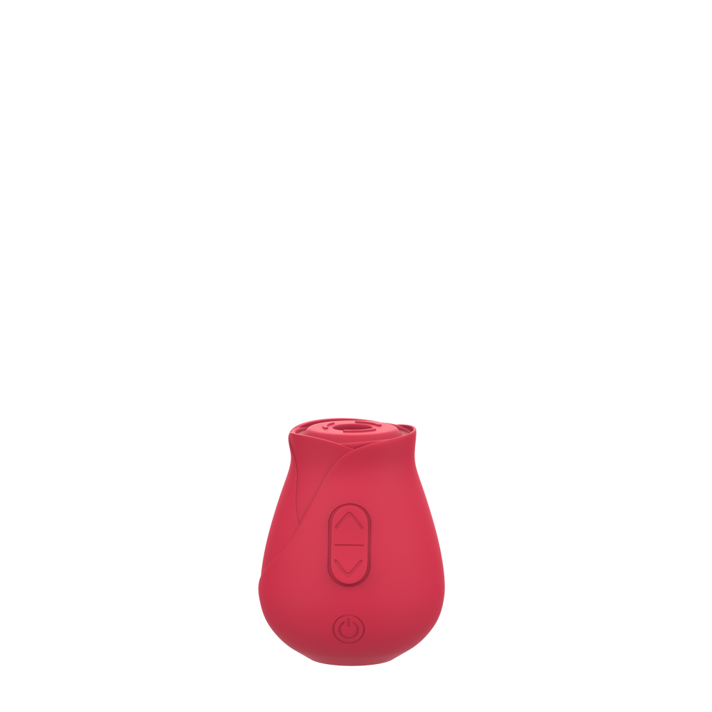 Cinzy Rose Toy®