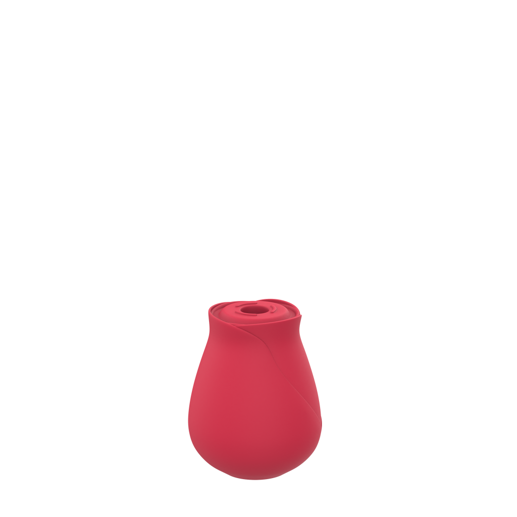 Cinzy Rose Toy®