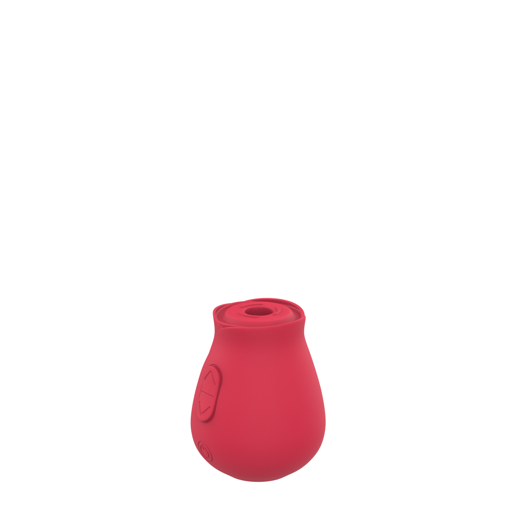 Cinzy Rose Toy®