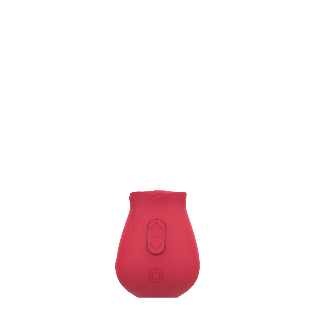 Cinzy Rose Toy®