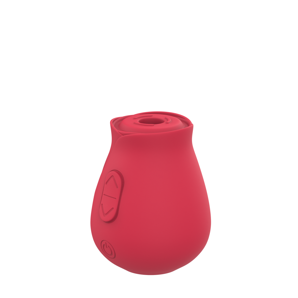 Cinzy Rose Toy®